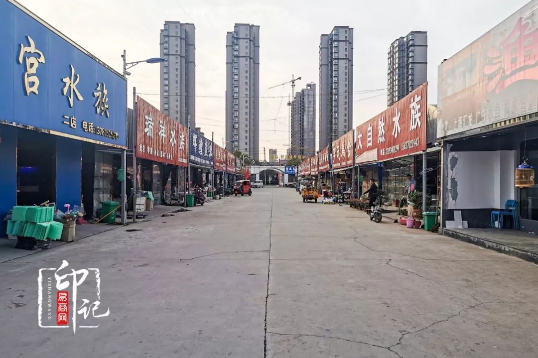 商丘花鸟批发基地,商丘花鸟市场地址