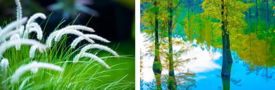 惠州深山隐藏的山庄,惠州温泉度假村攻略