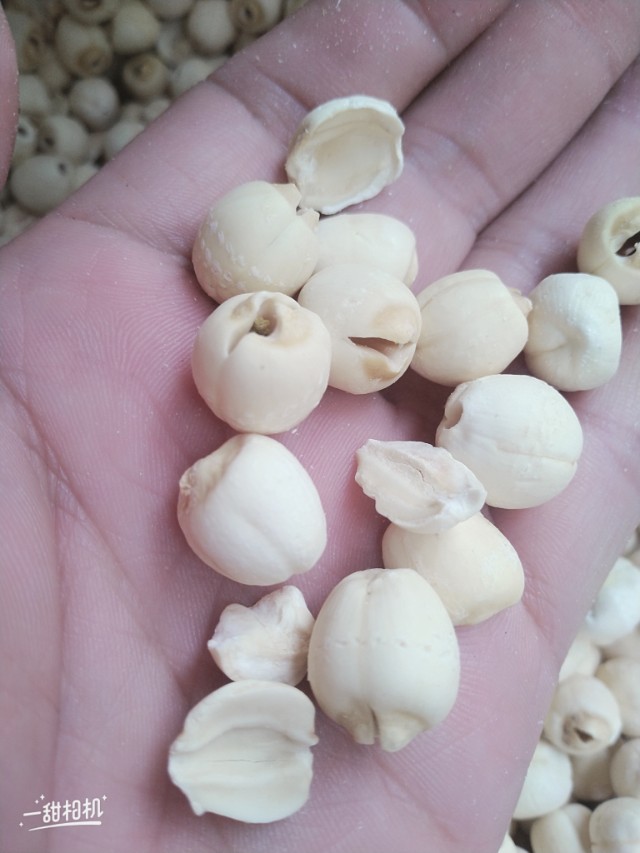 千万别上当假藕粉,如果买到假莲子粉怎么办