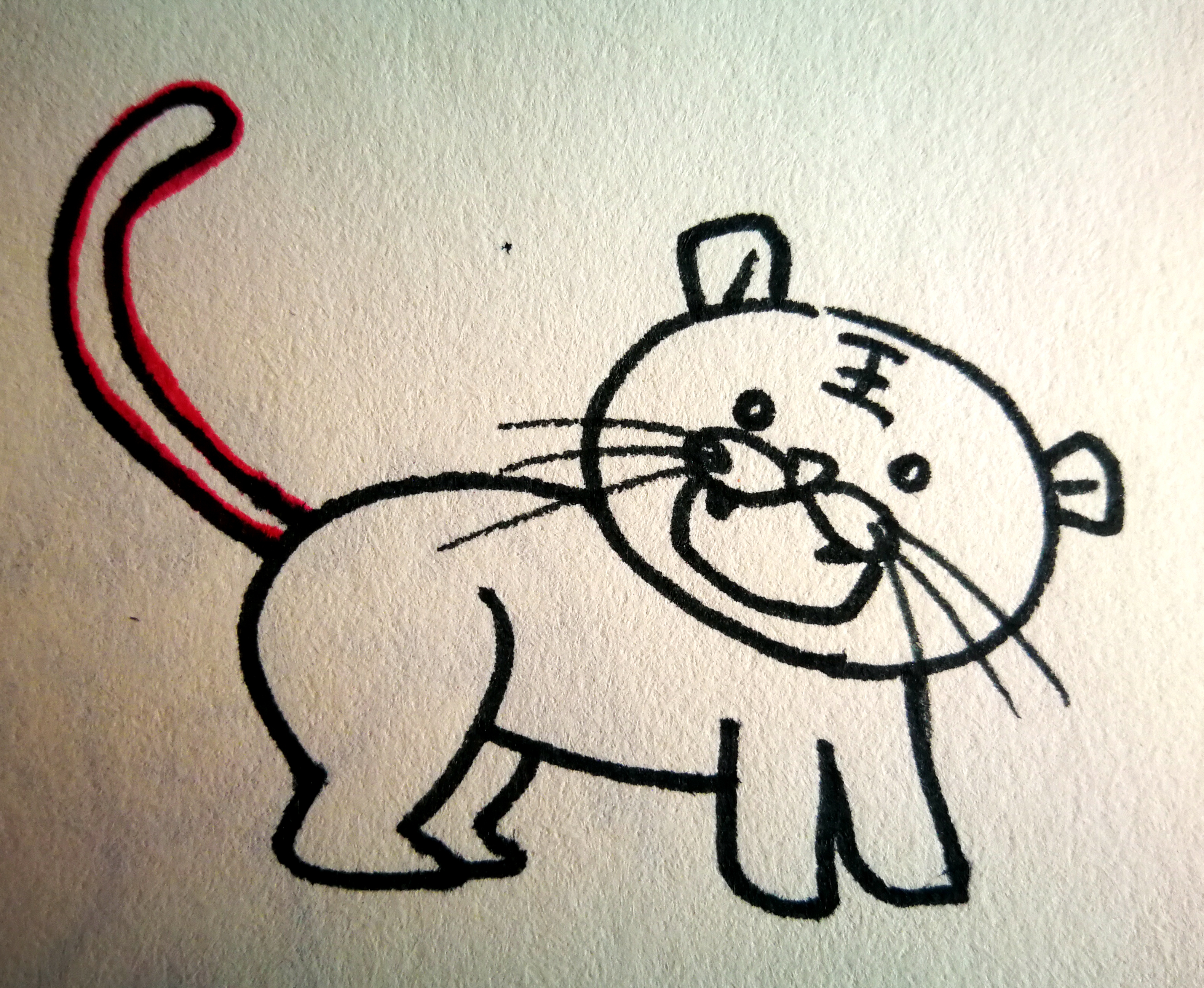 画一画你知道的小动物和本领,说一说画一画小绵羊的尾巴像什么