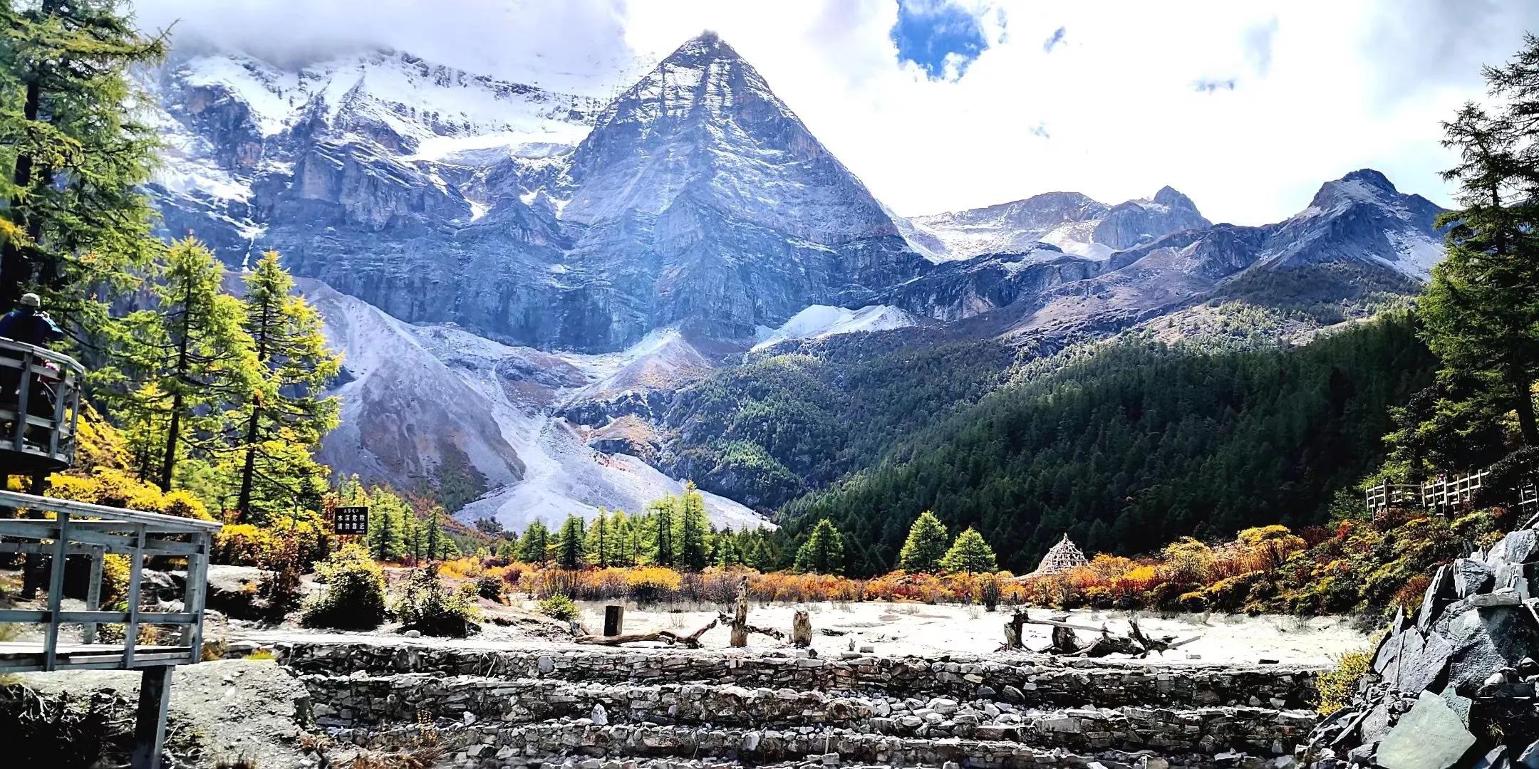 秋天的怀念作者,秋天的怀念