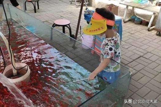 芒种旅游景点推荐,芒种至仲夏节气