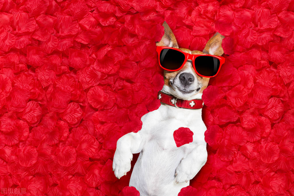 今天五行穿什么颜色的衣服,今天五套直播时间