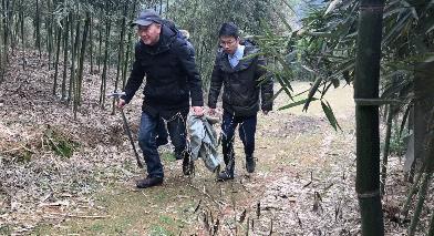 舌尖上的珍味春笋,舌尖上的春笋完整视频