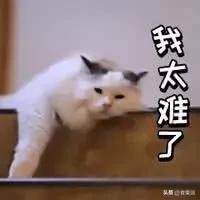 正确的排毒方法视频,健康排毒拍打经络操