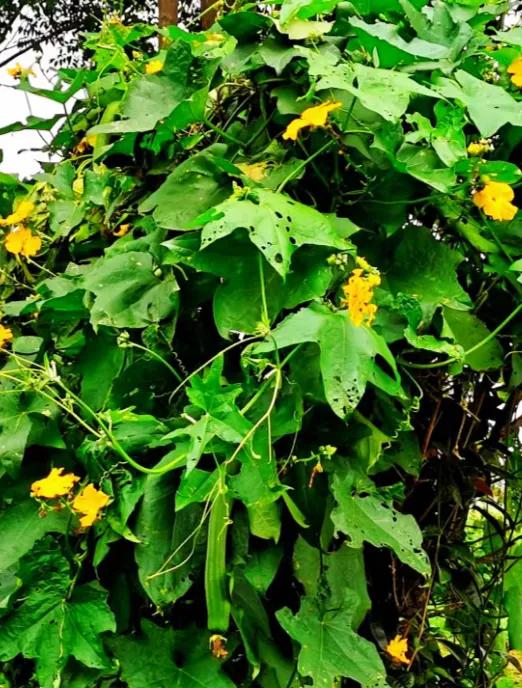 咏酒古诗60首,咏酒古诗词100首