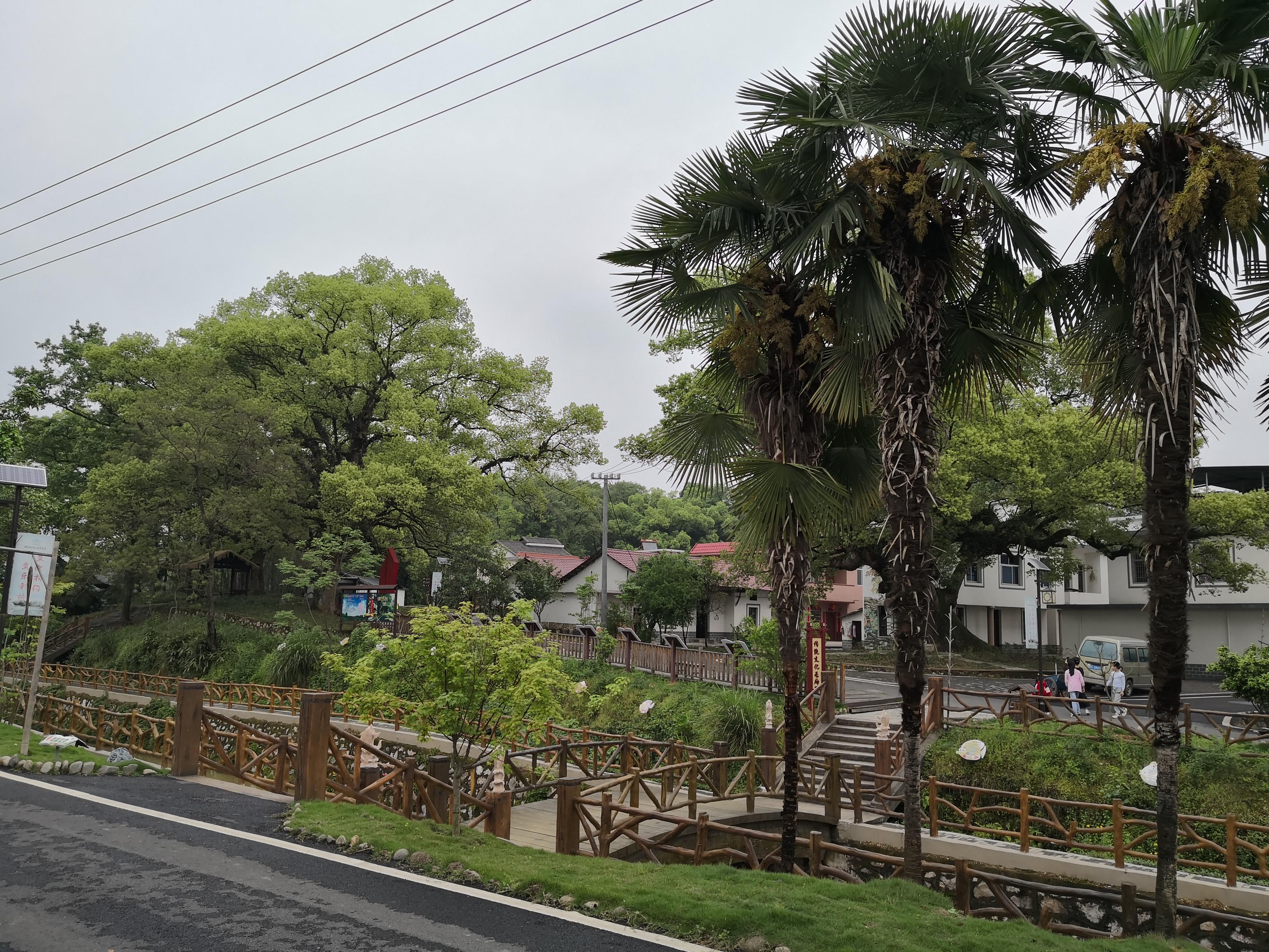 妈妈那边的亲戚称呼大全,山东亲属称呼大全