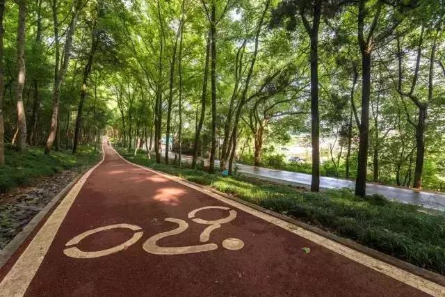 今年夏天在武汉必做的十件事,武汉新春过年坐地铁打卡攻略