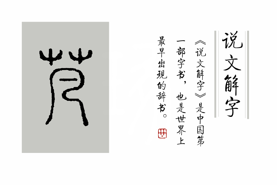 说文解字第339讲,说文解字第143课全集