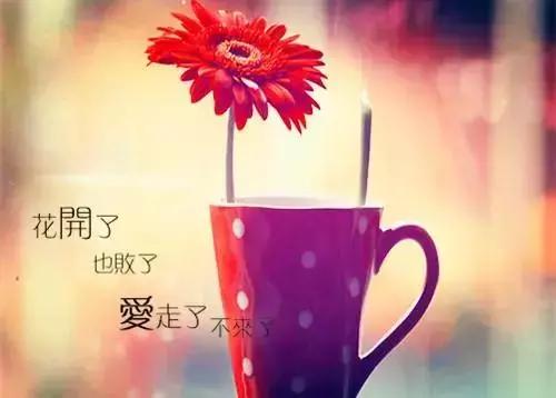 2019恋爱伤感句子抖音,抖音经典扎心的情感句子