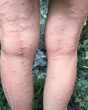 sixgod清爽祛味花露水,sixgod驱蚊花露水便携型冰莲香型