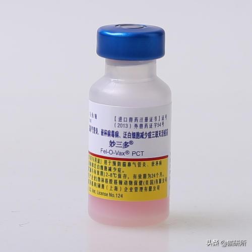 猫咪接种后精神不好应该注意什么,猫咪接种疫苗后腹泻怎么办