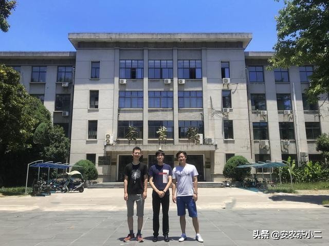 正宗的一套功夫茶茶具需要什么,一整套功夫茶具