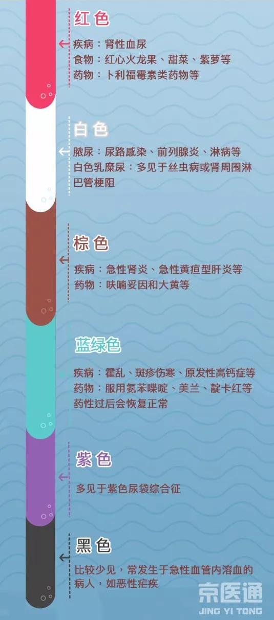 肾功能和尿常规有什么区别,肾功能和尿常规哪个准确