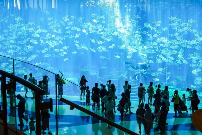 七星级酒店亚特兰蒂斯,三亚七星级酒店亚特兰蒂斯门票