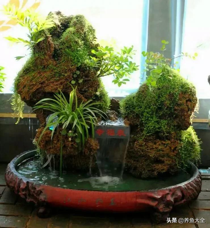 上水石盆景制作方法是什么,上水石盆景制作视频教程完整版