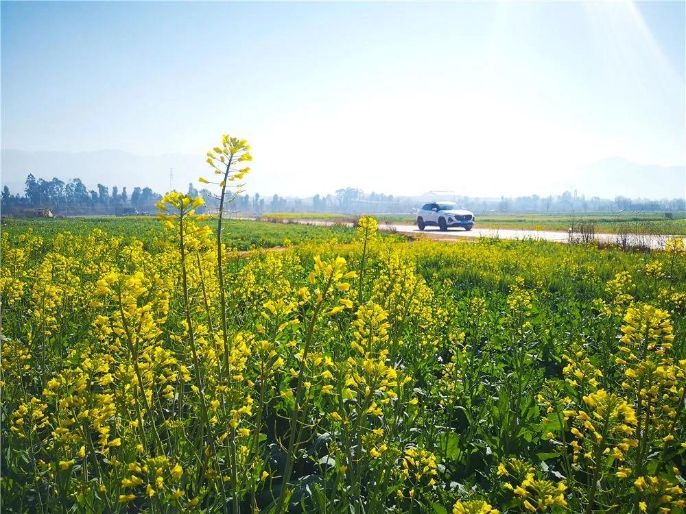 瞧!这花花世界谁不爱