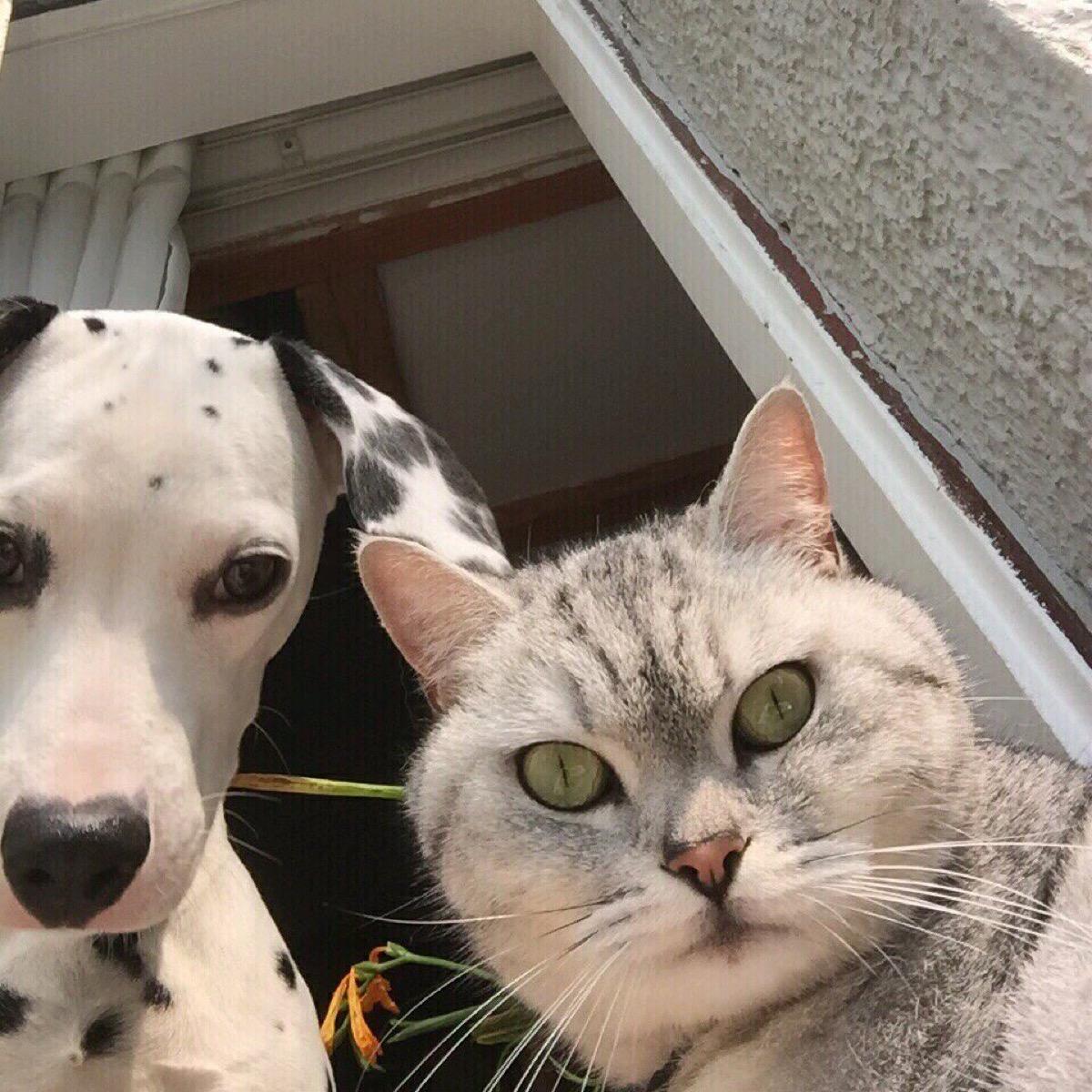 六一儿童节送六岁男宝宝什么礼物,孩子的六一儿童节礼物应该买什么