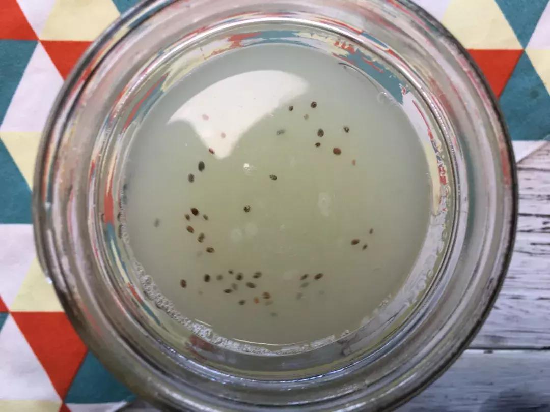 奇亚籽有什么营养,超级奇亚籽谷物脆