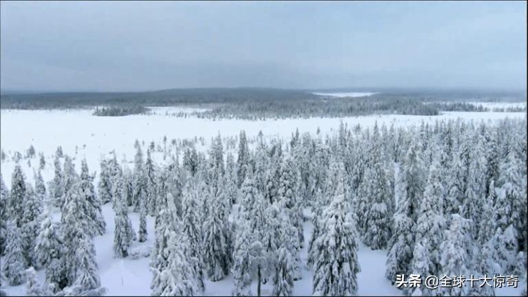 你知道世界上最冷的十个地方吗,地球十大最冷最热的地方