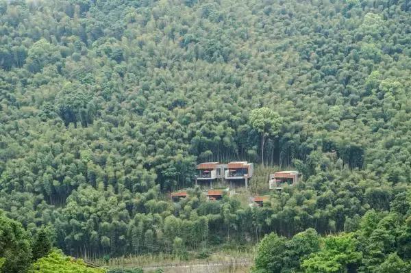 宁海安岚度假酒店,宁海安岚最美的酒店