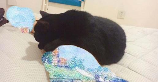 刚养猫怎么防止猫咪抓人,刚到家的小猫喜欢咬人