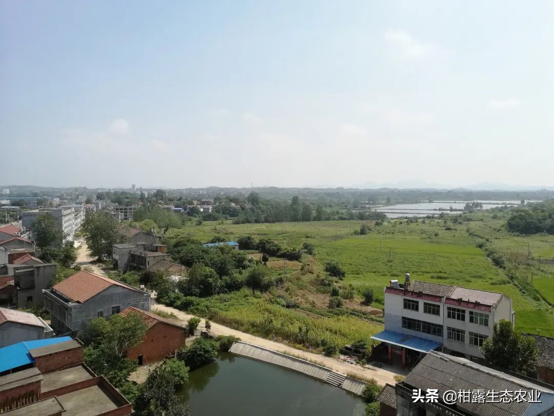 农村建房全部政策,2020年萍乡市农村建房规定