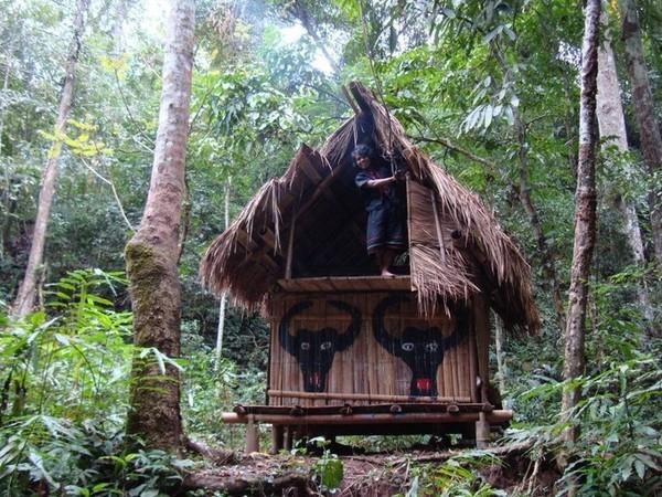 了解西双版纳的风俗和民族文化,西双版纳哈尼族特色民族文化