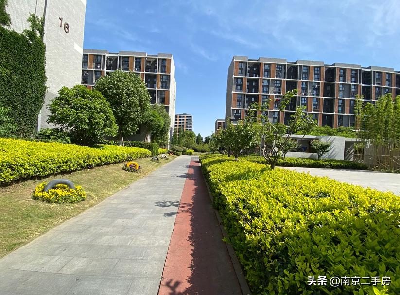 凭实力吸粉!成交破4万/㎡,实探百家湖“网红”神盘