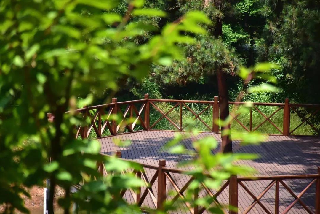 闲坐凉亭、徒步森林、畅快橡皮艇,快来苍溪纳凉避暑~