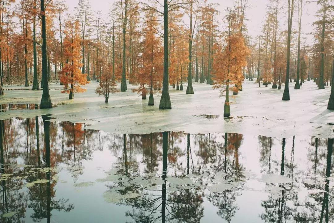 武汉最新古与潮室内网红打卡点,武汉周边新晋7大网红打卡地