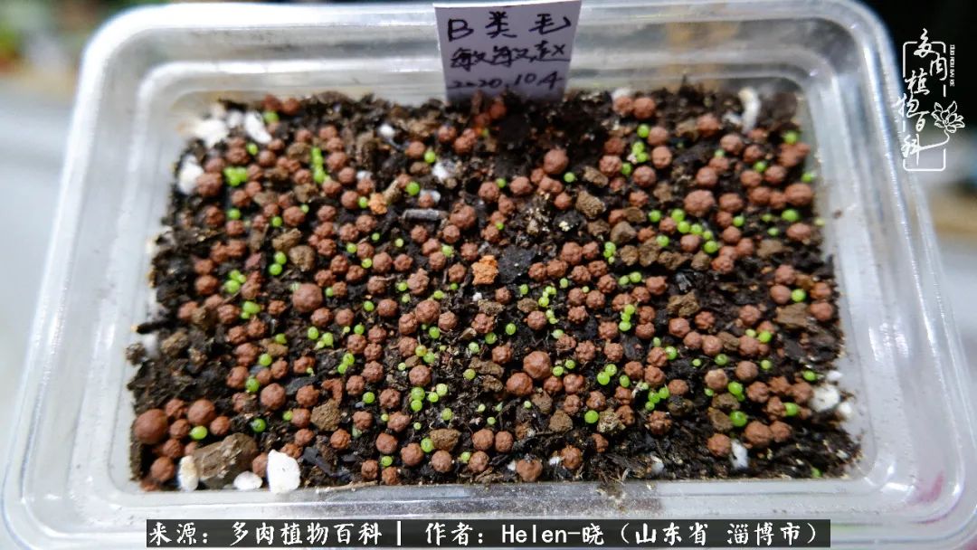 人到中年温暖如初,人到中年岁月静好