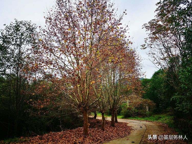 云南澄江兵工厂,云南兵工厂旧址