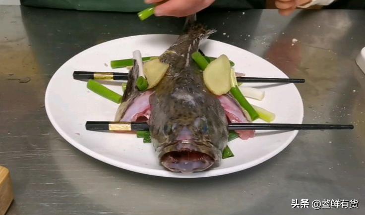 鳌鱼清蒸,鳌鱼清蒸做法窍门