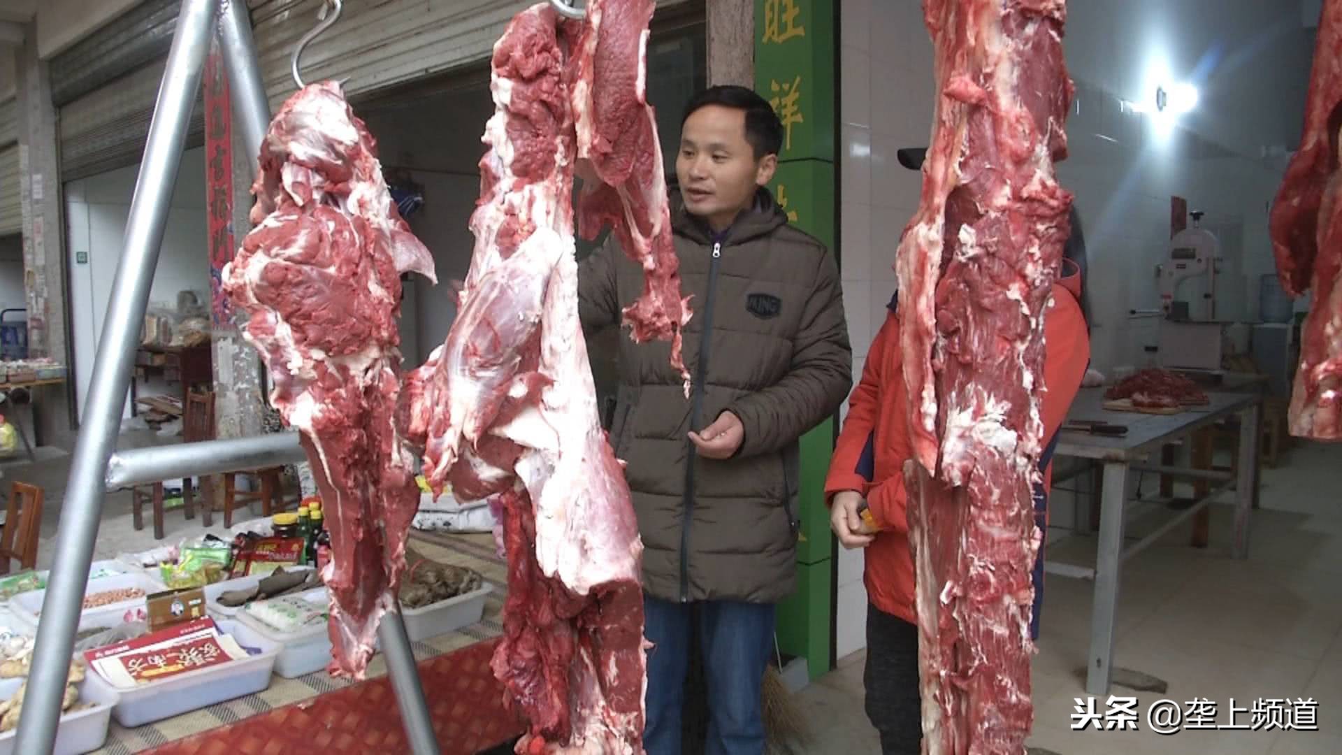 兵哥哥家禽养殖,兵哥哥教你养猪