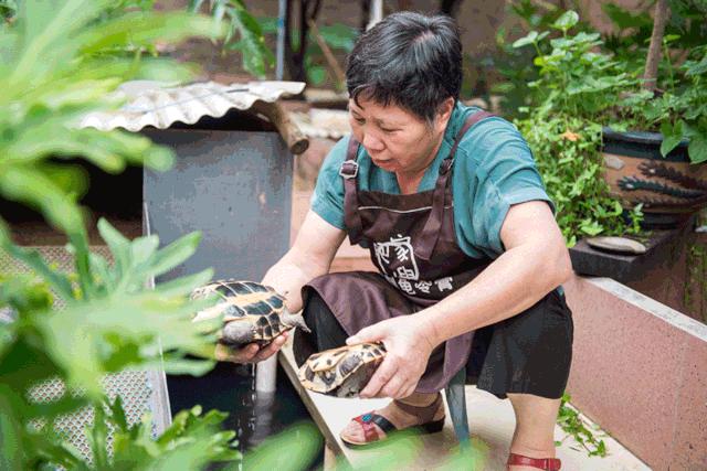 好吃又简单又好看的网红甜品,超级好吃又好看的网红甜品