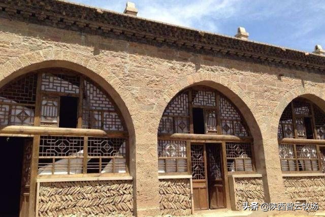 智慧牧业｜朱合作：谜语之树