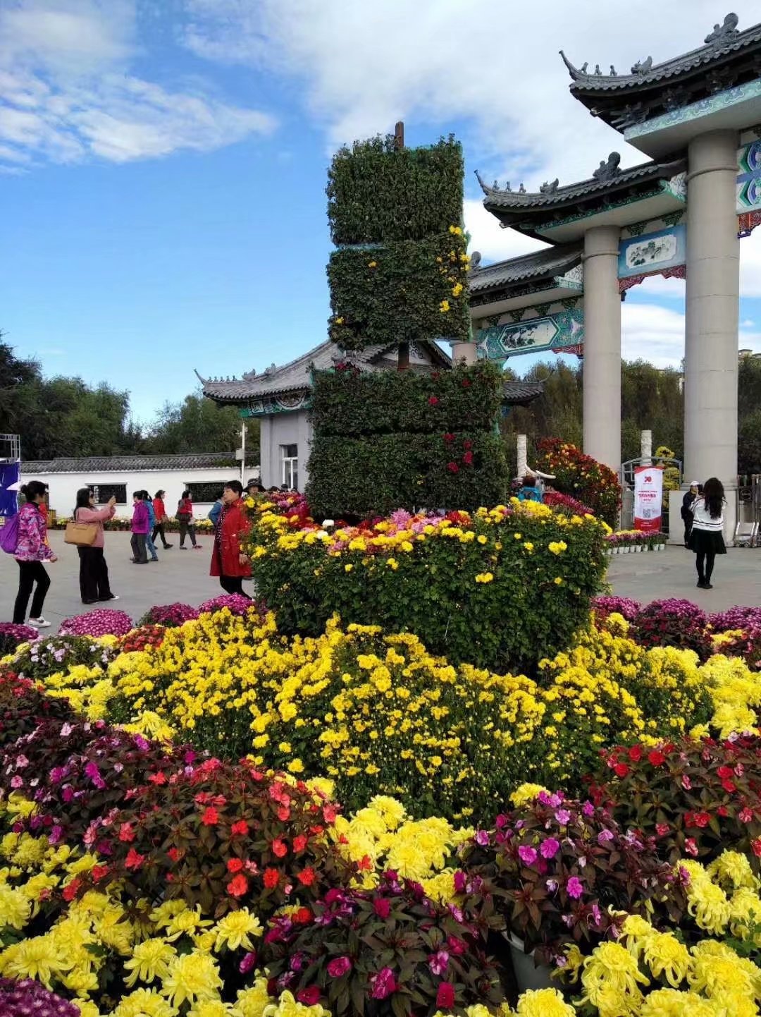 菊香九月香,菊花飘香散文