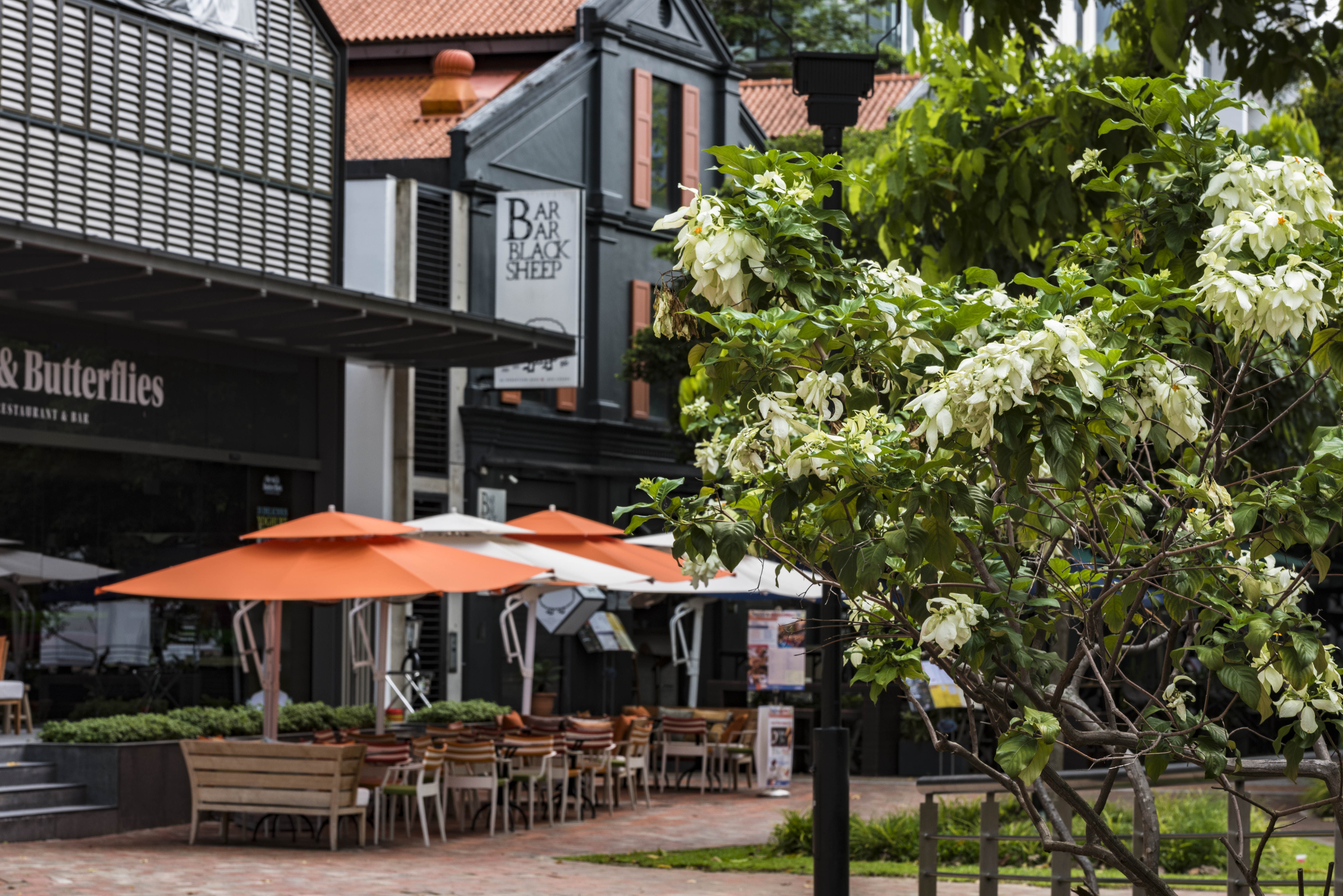 新加坡夜景旅游攻略,新加坡克拉码头夜景