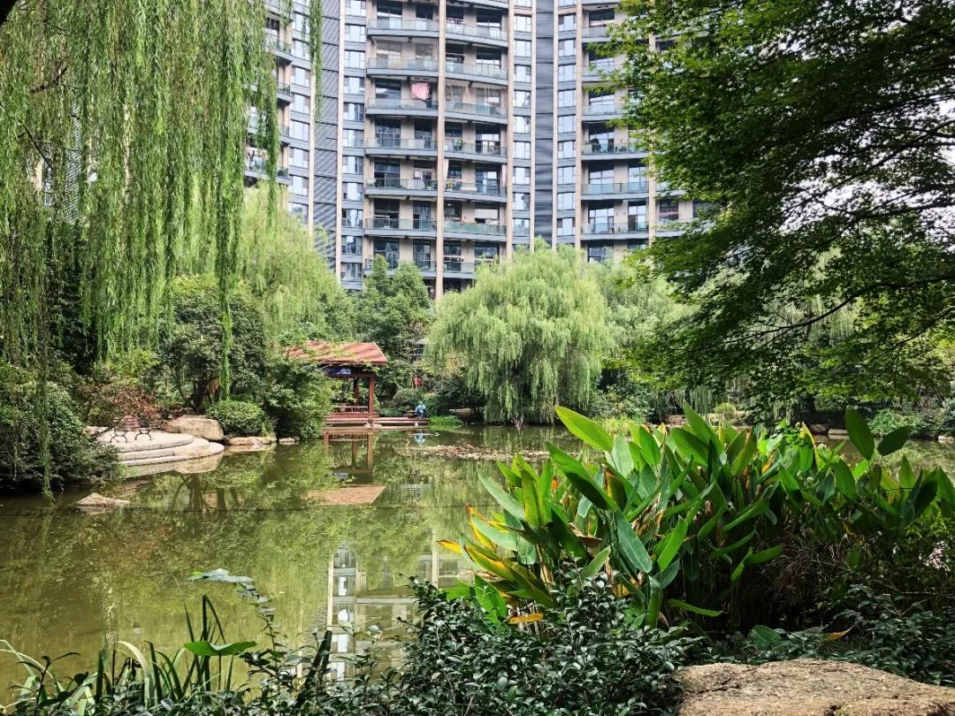 上千人带小板凳通宵排队买的万家花城，热带风情园林太经典