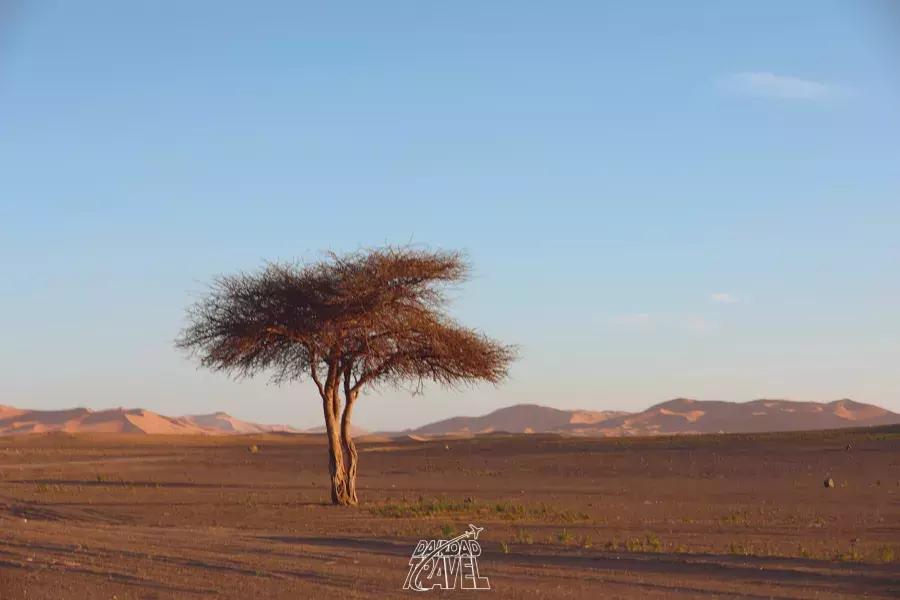 摩洛哥之旅探索摩洛哥的美丽风光,摩洛哥之旅撒哈拉沙漠