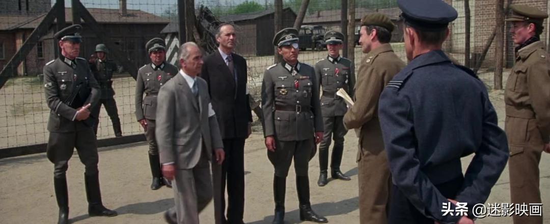 贝利史泰龙主演的电影,贝利和史泰龙合作的电影