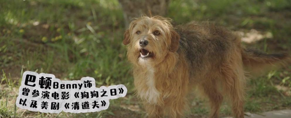 80万人想看，不只因为它凑齐半个娱乐圈