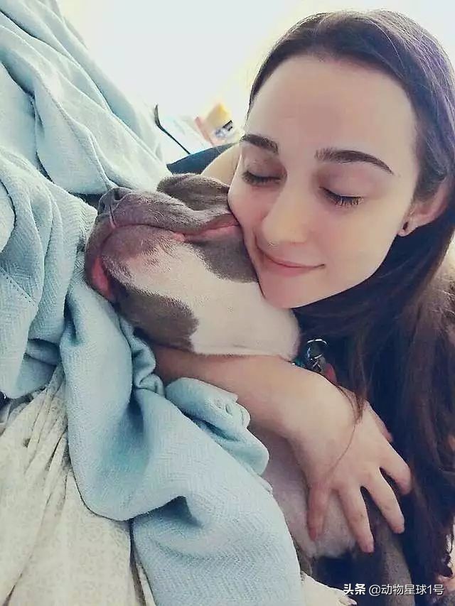 小奶狗要结婚了咋办,要结婚了养的狗怎么办