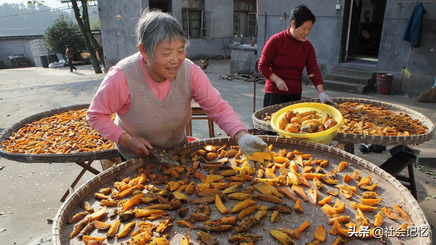 CCTV7农村致富项目,农村脱贫致富连续剧大全