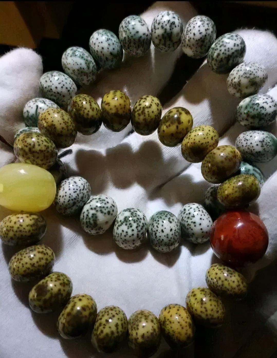 星月菩提阴皮是什么意思,星月菩提的阴皮怎么形成的