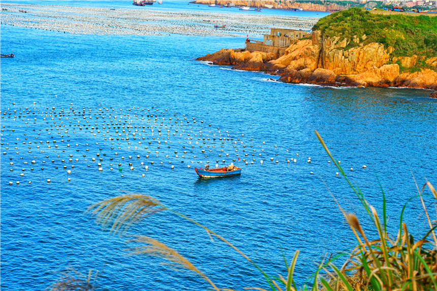 嵊泗美食推荐攻略,嵊泗列岛旅游攻略美食