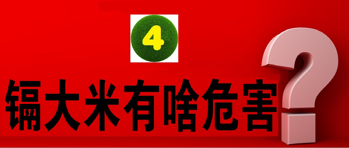 舌尖上的安全感悟,舌尖上的安全全册