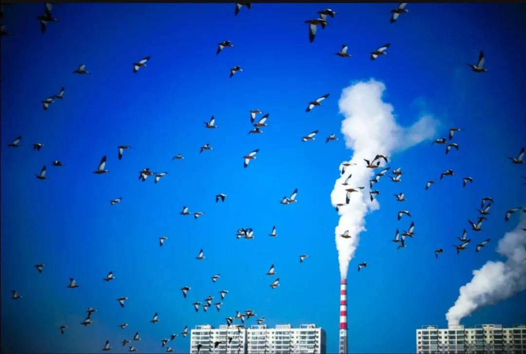 斯是陋室惟吾德馨文字图片,斯是陋室惟吾德馨高清