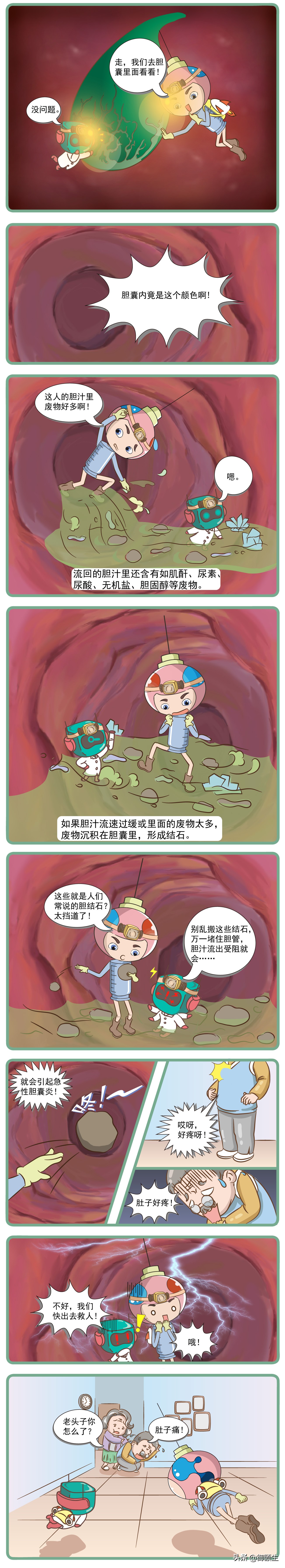 春天胆囊炎容易复发,如何判断是胆囊炎还是胃病